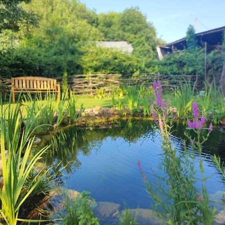 Gite En Bord De Loire Blaison-Saint-Sulpice Екстер'єр фото